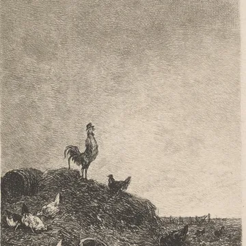 Etching of a rooster crowing on a dung heap at dawn